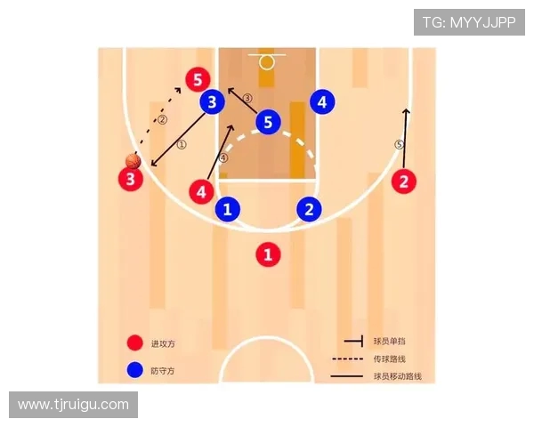 深入分析成都排球队的进攻战术与团队配合策略